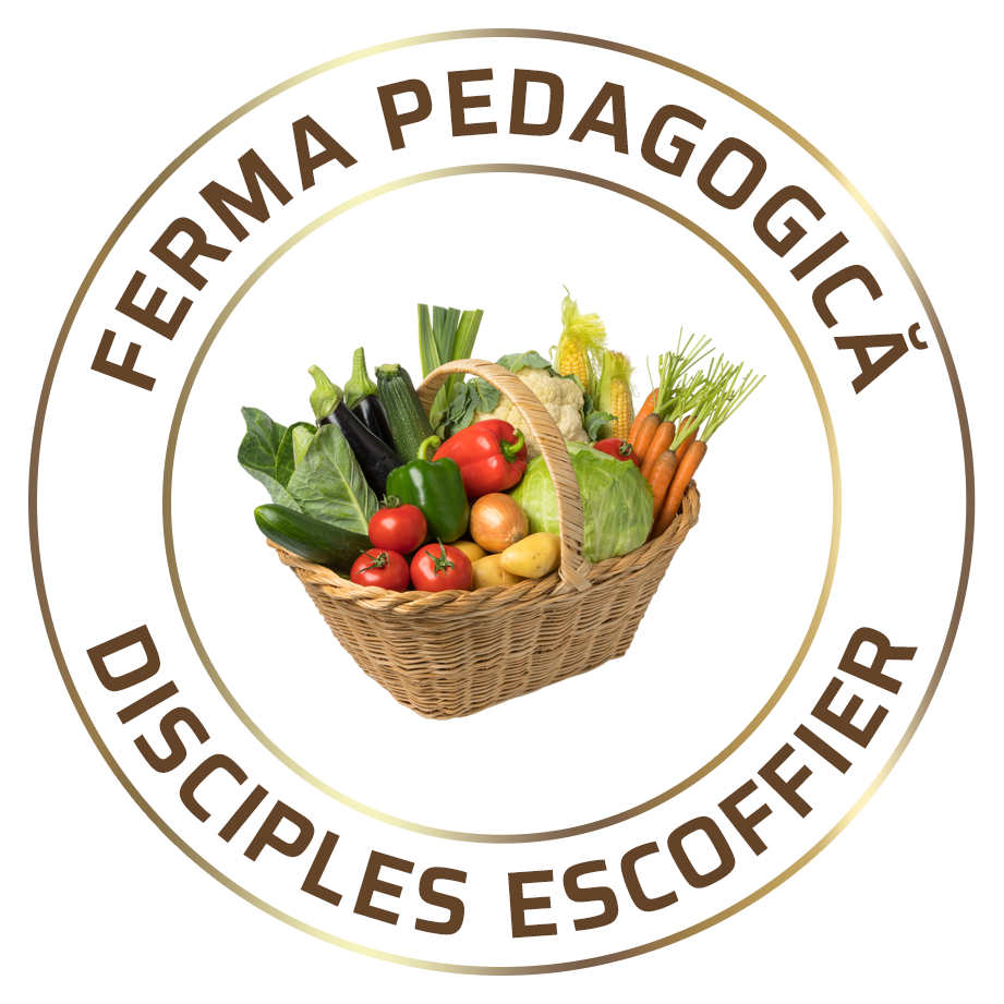 logo ferma